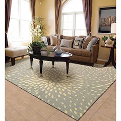Nourison Capri Grey Area Rug