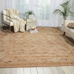 3000 Beige Area Rug