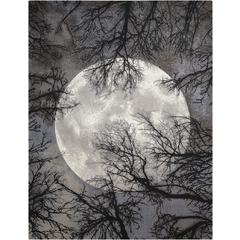 Modern Rectangle Area Rug, 8' x 10'