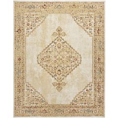 Nourison Home Grafix Area Rug