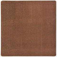 Kid Essentials Endurance 12' x 12' Area Rug in Color Brown