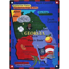 Kid Essentials State the Facts - Georgia 7'8" x 10'9" Area Rug in Color Multi