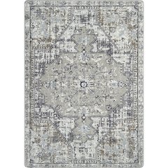 Canyon Tapestry 7'8" x 10'9" Area Rug in Color Twilight