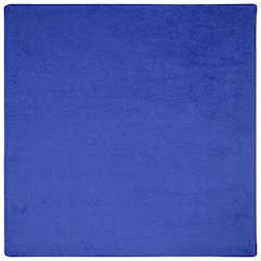 Kid Essentials Endurance 6' x 6' Area Rug in Color Royal Blue