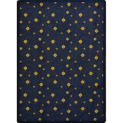 Any Day Matinee Milky Way 3'10" x 5'4" Area Rug in Color Slate