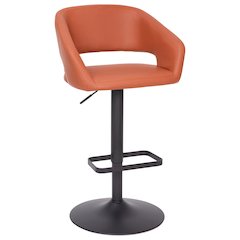 Contemporary Adjustable Swivel Bar Stool