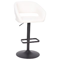 Contemporary Adjustable Swivel Bar Stool