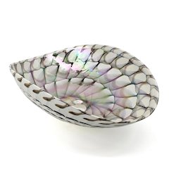 19 inch Murano Glass Art Vessel Seashell Decorative Pattern Bathroom Sink