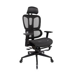 Reclining Ergonomic Chair with Lumbar Support – Office or Gaming Chair