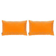 SIBINE  PILLOW, PIL156C-1818-SET2