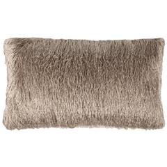 Indoor / Outdoor Shag, Champagne, PPL210E-1424