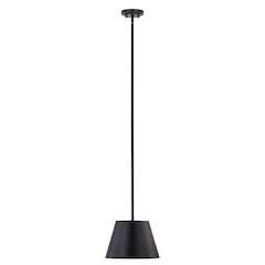 Z-Lite 1 Light Pendant