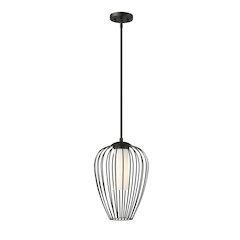 Z-Lite 1 Light Pendant