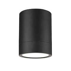 Z-Lite 1 Light Flush Mount