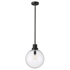 Z-Lite 1 Light Outdoor Pendant