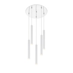 Z-Lite 5 Light Chandelier