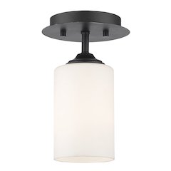 Z-Lite 1 Light Flush Mount