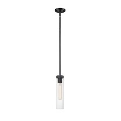 Z-Lite 1 Light Pendant