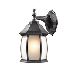 Z-Lite 1 Light Outdoor Wall Light