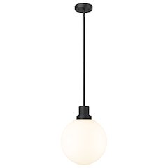 Z-Lite 1 Light Outdoor Pendant