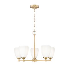 Z-Lite Oren 5 Light Chandelier in Modern Gold color, Steel frame