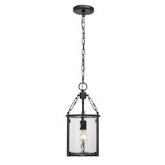 Z-Lite 1 Light Pendant