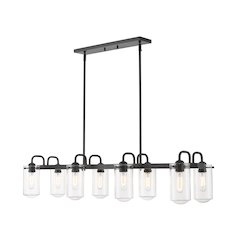Z-Lite Delaney 8 Light Linear Chandelier, Matte Black