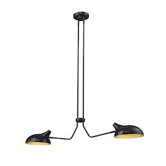 Z-Lite 2 Light Linear Chandelier