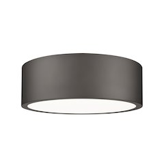 Z-Lite 1 Light Flush Mount