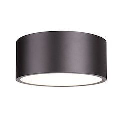 Z-Lite 2 Light Flush Mount