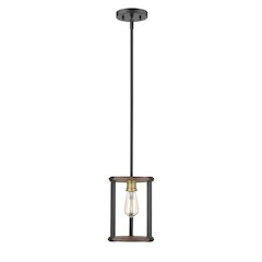 Z-Lite 1 Light Pendant