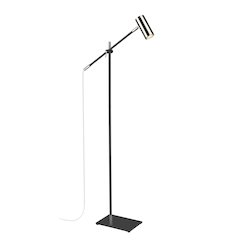 Z-Lite 1 Light Floor Lamp