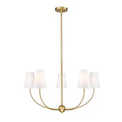 Z-Lite 5 Light Chandelier