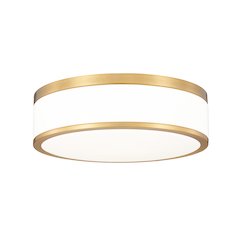 Z-Lite 1 Light Flush Mount