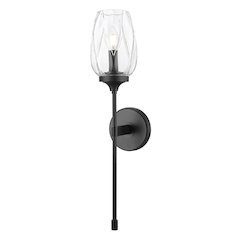 Z-Lite 1 Light Wall Sconce, Matte Black