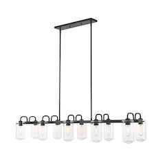Z-Lite 10 Light Linear Chandelier