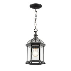 Z-Lite Annex 1 Light Outdoor Chain Mount Ceiling Fixture, Black