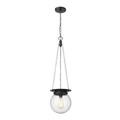 Z-Lite 1 Light Pendant