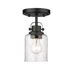 Z-Lite 1 Light Flush Mount
