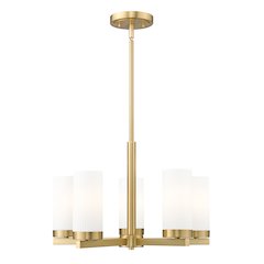 Z-Lite 5 Light Chandelier