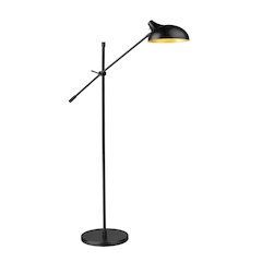 Z-Lite 1 Light Floor Lamp