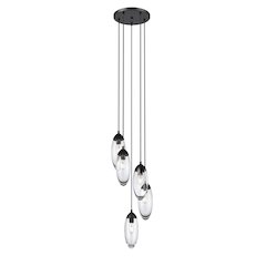 Z-Lite 5 Light Chandelier