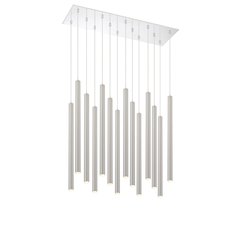 Z-Lite 14 Light Chandelier