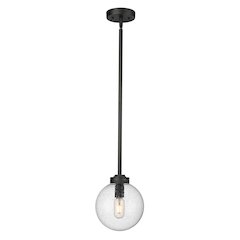 Z-Lite 1 Light Outdoor Pendant
