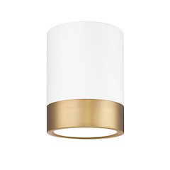 Z-Lite 1 Light Flush Mount