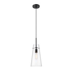 Z-Lite 1 Light Pendant