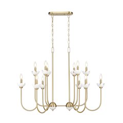 Z-Lite Allistair 12 Light Linear Chandelier in Modern Gold color, Steel frame