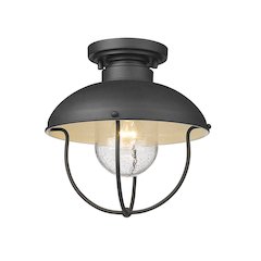 Z-Lite 1 Light Outdoor Flush Mount