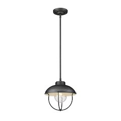 Z-Lite 1 Light Outdoor Pendant