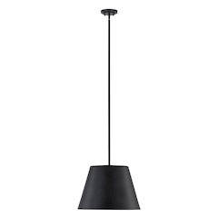Z-Lite 1 Light Pendant